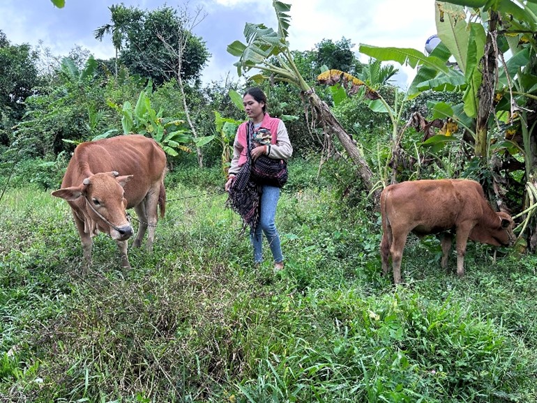 Phụ nữ xã Cư M’ta Thay đổi tư duy, làm chủ kinh tế nhờ tín dụng ưu đãi