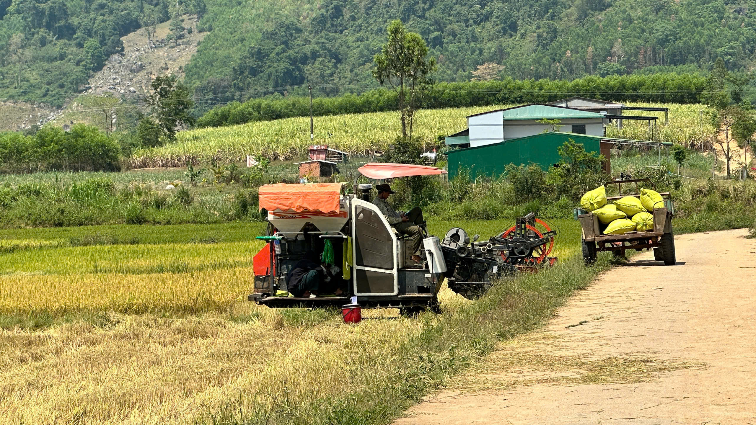 TÍN DỤNG CHÍNH SÁCH – ĐÒN BẨY QUAN TRỌNG THÚC ĐẨY PHÁT TRIỂN KINH TẾ, GIẢM NGHÈO BỀN VỮNG Ở XÃ CƯ M’TA