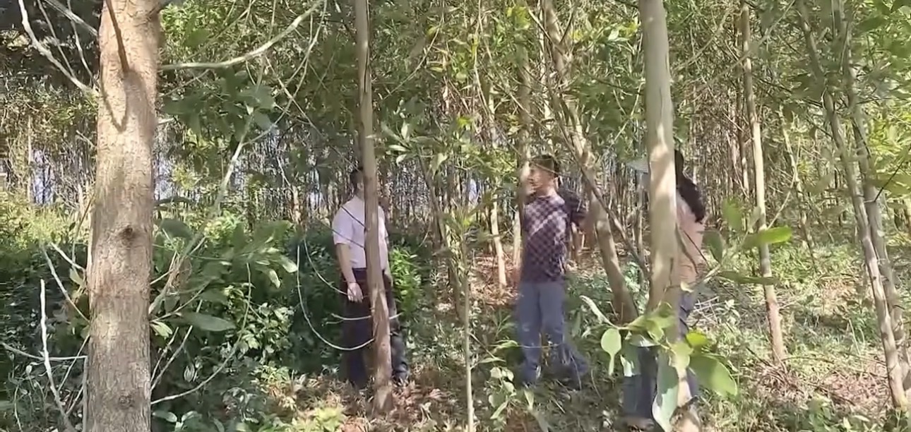 Xã Cư M’ta: Trao “cần câu” cho người dân thoát nghèo